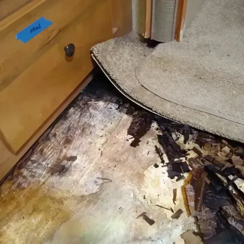 Wood Floor Water Damage in River Forest, IL